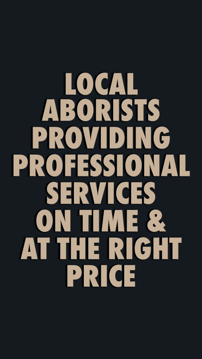 Canberra Tree Loppers Connelly Trees