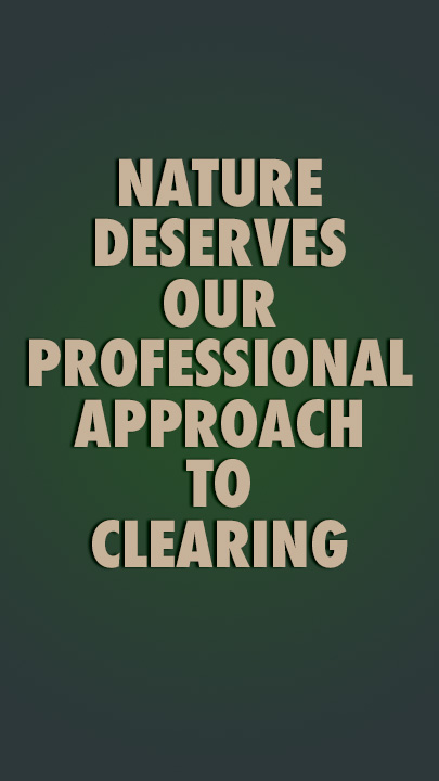 Tree Clearing Canberra Connelly Trees