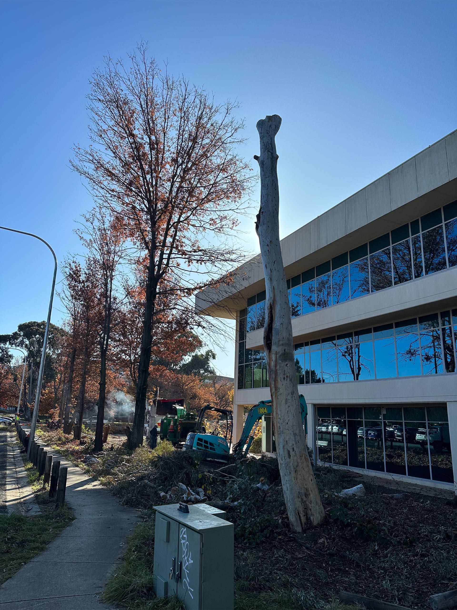 Connelly Trees Canberra Tree Clearing Services